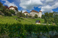 /album/chamey-gruyeres-schweiz-15-september-2025/chamey-gruyeres-15-09-2025-30-jpg/